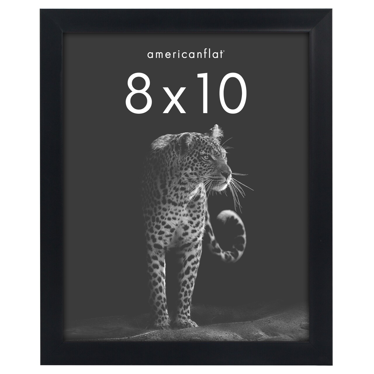 Americanflat Gallery-Style Picture Frame - Ideal Frame for Gallery Wall Display - Showcase Artwork, Prints, and Photos - Shatter Resistant Glass - Hanging Hardware with Drywall Anchor
